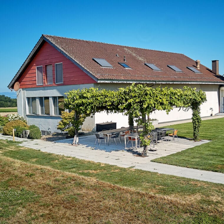 St.Wolfgang-14-18-072025_0013
